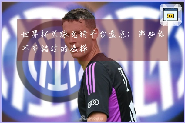 世界杯买球竞猜平台盘点：那些你不可错过的选择