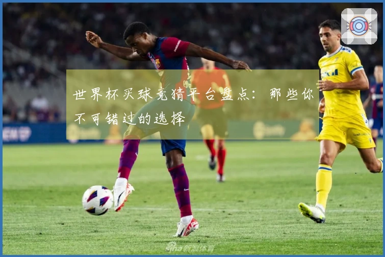 世界杯买球竞猜平台盘点：那些你不可错过的选择