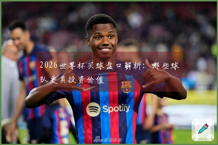 2026世界杯买球盘口解析：哪些球队更具投资价值