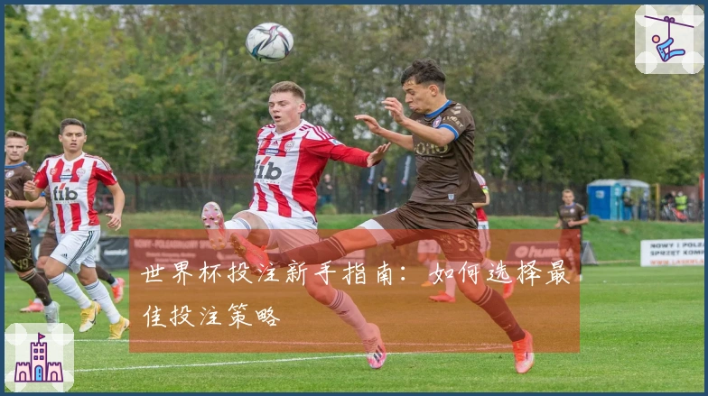 世界杯投注新手指南：如何选择最佳投注策略