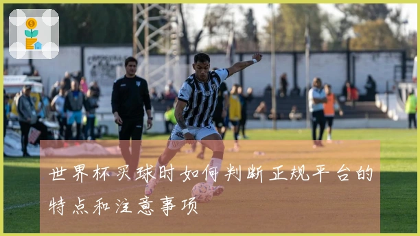 世界杯买球时如何判断正规平台的特点和注意事项