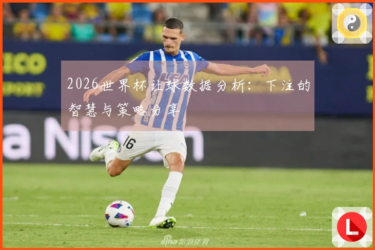 2026世界杯让球数据分析：下注的智慧与策略分享