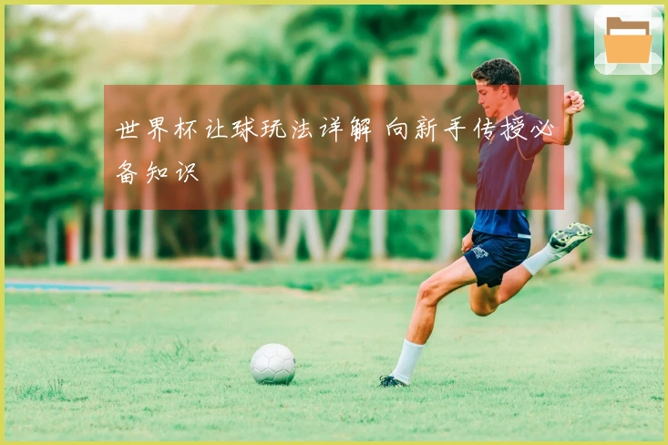 世界杯让球玩法详解 向新手传授必备知识