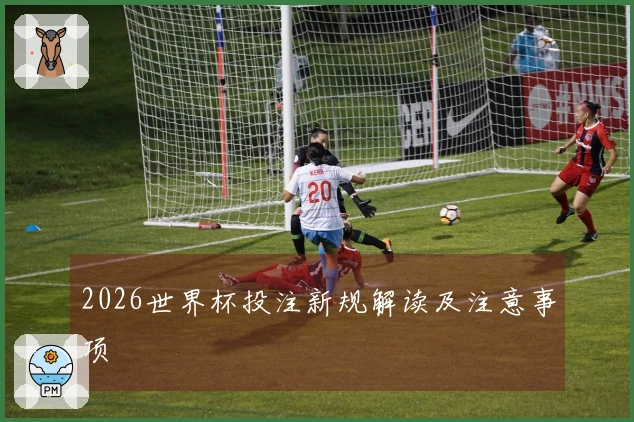 2026世界杯投注新规解读及注意事项