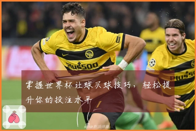 掌握世界杯让球买球技巧，轻松提升你的投注水平