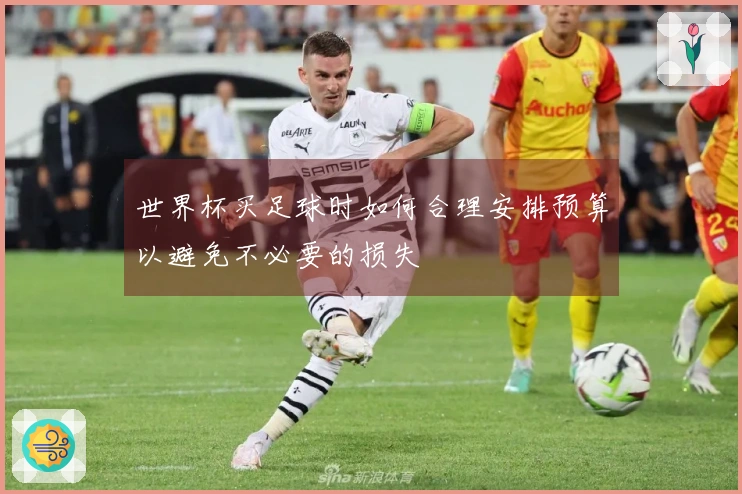世界杯买足球时如何合理安排预算以避免不必要的损失