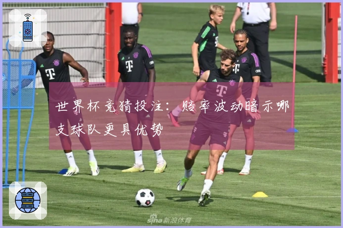 世界杯竞猜投注：赔率波动暗示哪支球队更具优势