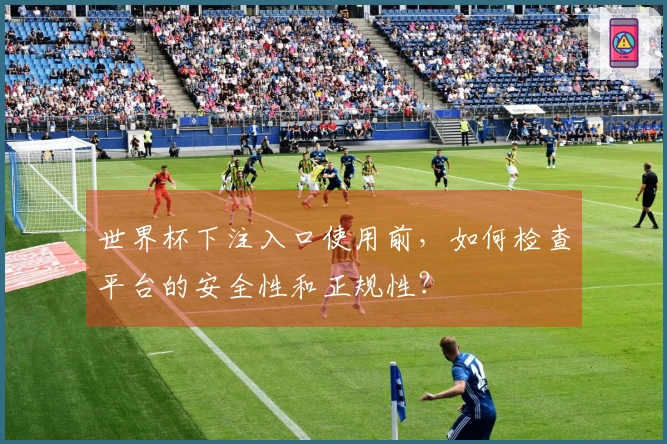 世界杯下注入口使用前，如何检查平台的安全性和正规性？