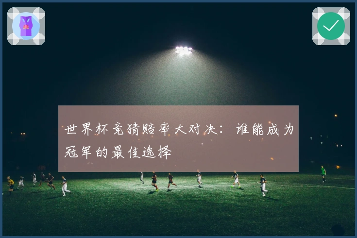世界杯竞猜赔率大对决：谁能成为冠军的最佳选择