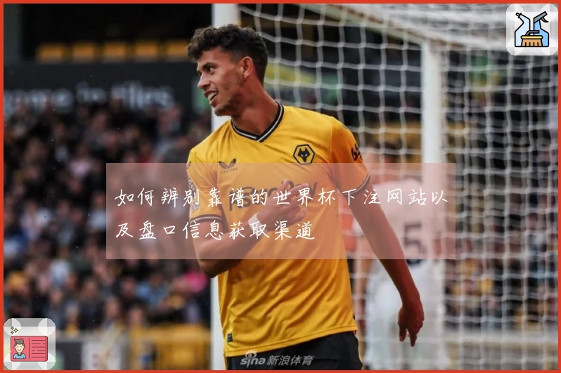 如何辨别靠谱的世界杯下注网站以及盘口信息获取渠道
