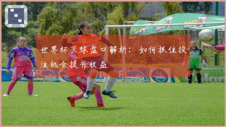 世界杯买球盘口解析：如何抓住投注机会提升收益