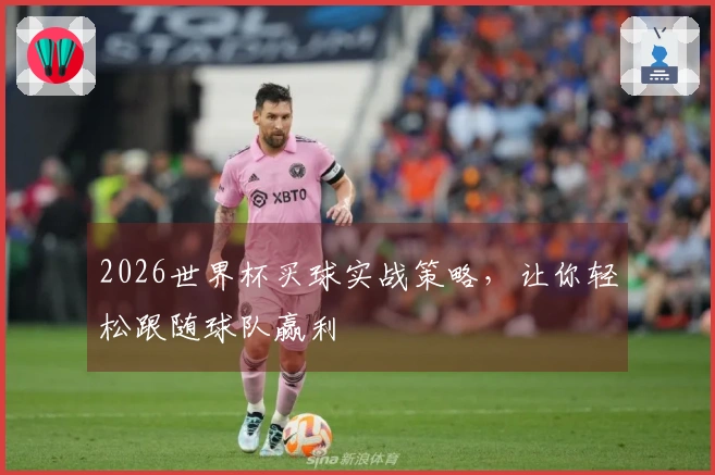 2026世界杯买球实战策略，让你轻松跟随球队赢利