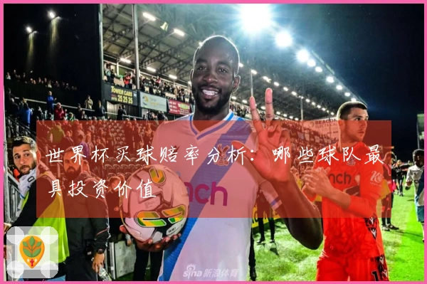 世界杯买球赔率分析:哪些球队最具投资价值