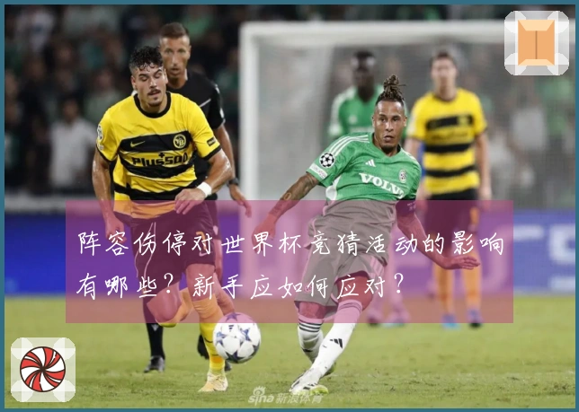 阵容伤停对世界杯竞猜活动的影响有哪些？新手应如何应对？