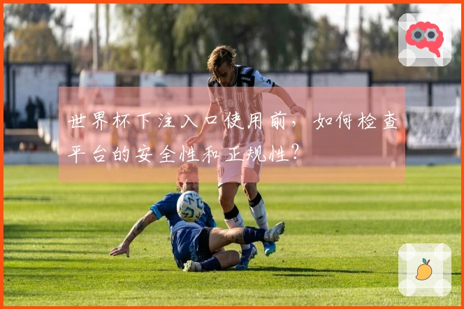世界杯下注入口使用前，如何检查平台的安全性和正规性？