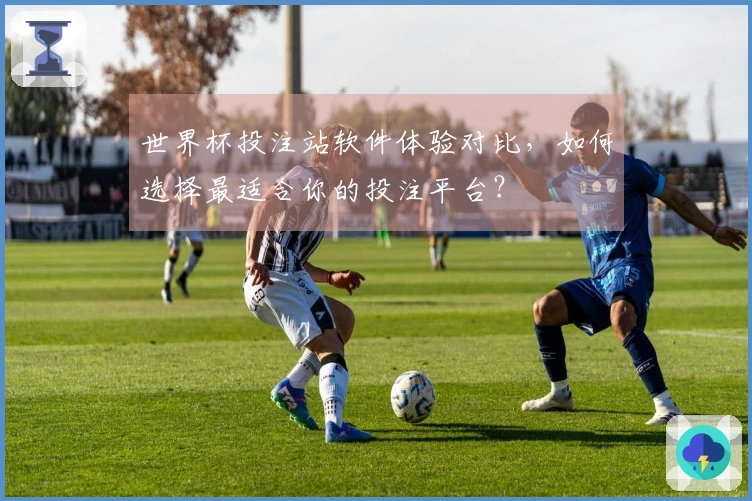 世界杯投注站软件体验对比，如何选择最适合你的投注平台？