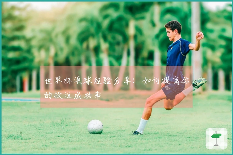 世界杯滚球经验分享：如何提高你的投注成功率