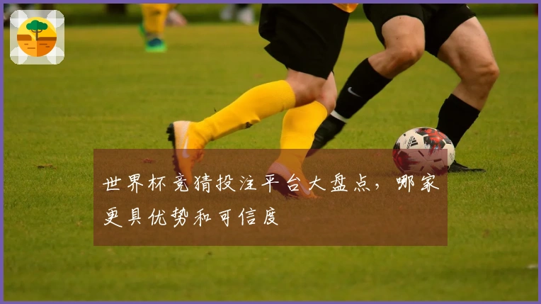 世界杯竞猜投注平台大盘点,哪家更具优势和可信度
