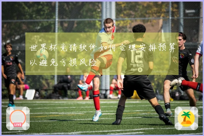 世界杯竞猜软件如何合理安排预算以避免亏损风险