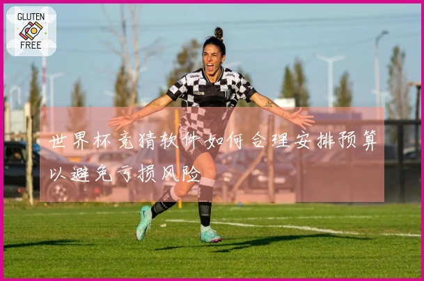 世界杯竞猜软件如何合理安排预算以避免亏损风险