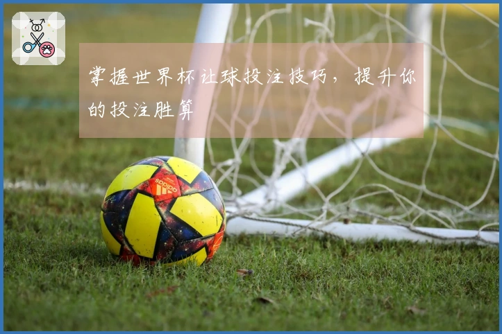 掌握世界杯让球投注技巧，提升你的投注胜算