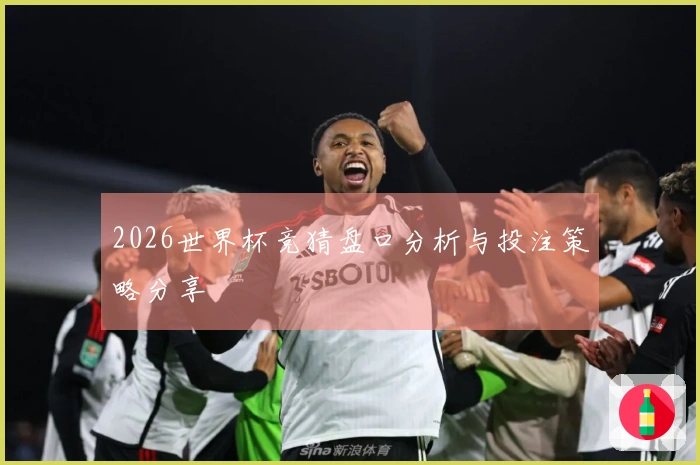 2026世界杯竞猜盘口分析与投注策略分享