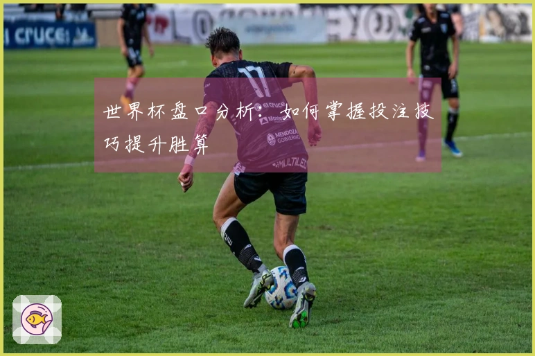 世界杯盘口分析：如何掌握投注技巧提升胜算