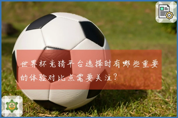 世界杯竞猜平台选择时有哪些重要的体验对比点需要关注？