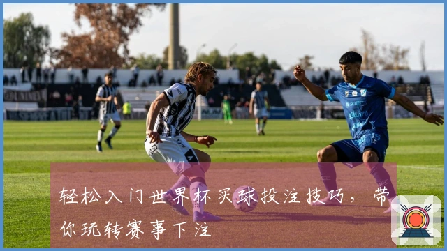 轻松入门世界杯买球投注技巧，带你玩转赛事下注