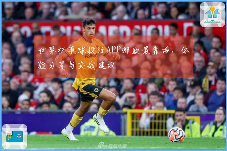 世界杯滚球投注APP哪款最靠谱，体验分享与实战建议