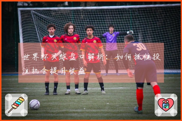 世界杯买球盘口解析：如何抓住投注机会提升收益