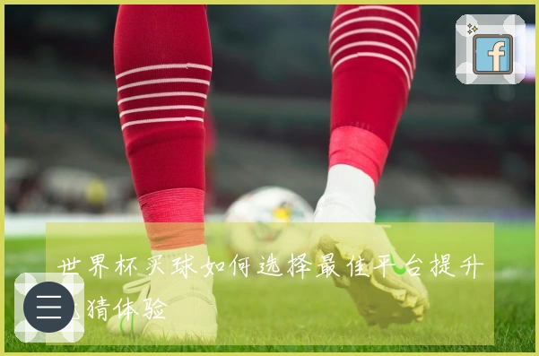 世界杯买球如何选择最佳平台提升竞猜体验