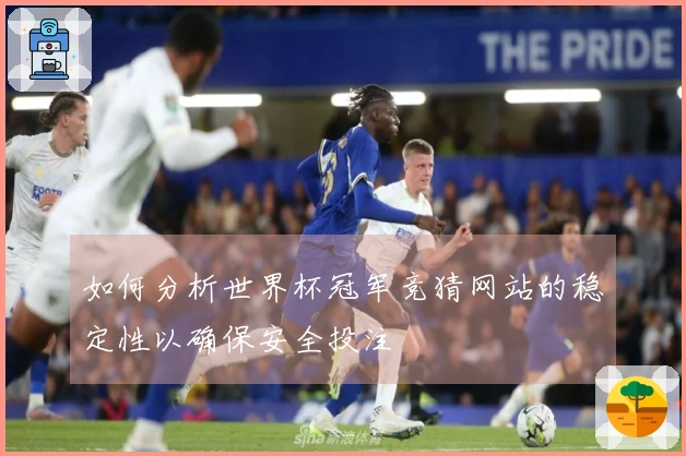 如何分析世界杯冠军竞猜网站的稳定性以确保安全投注