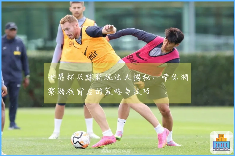 世界杯买球新玩法大揭秘，带你洞察游戏背后的策略与技巧