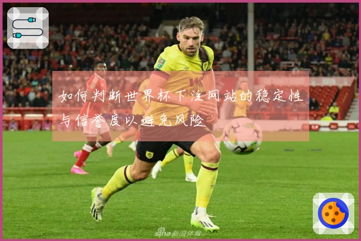 如何判断世界杯下注网站的稳定性与信誉度以避免风险
