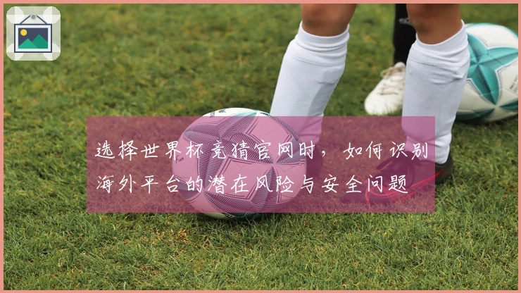 选择世界杯竞猜官网时，如何识别海外平台的潜在风险与安全问题
