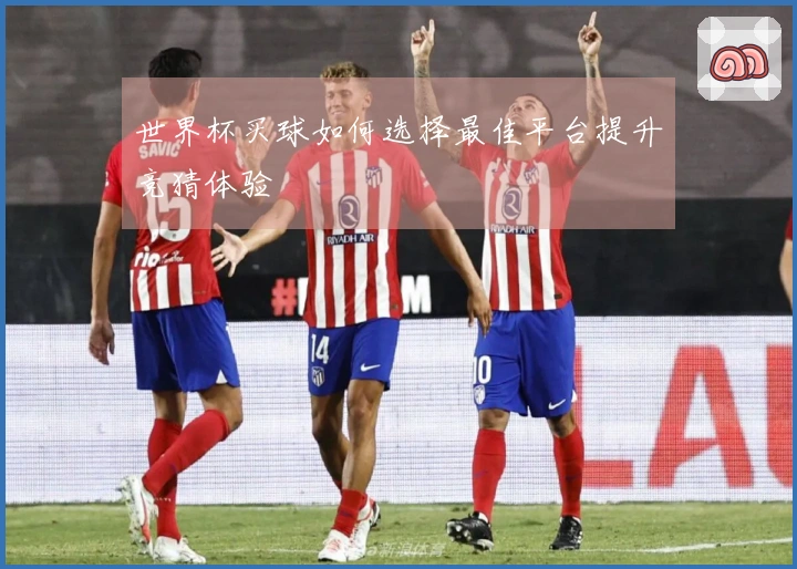 世界杯买球如何选择最佳平台提升竞猜体验