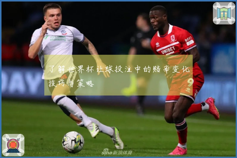 了解世界杯让球投注中的赔率变化技巧与策略
