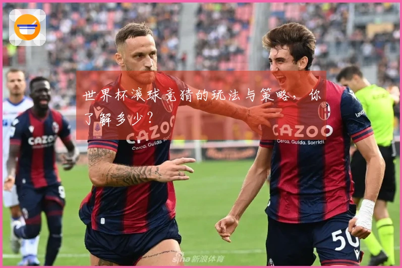 世界杯滚球竞猜的玩法与策略，你了解多少？