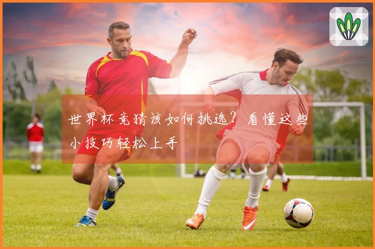 世界杯竞猜该如何挑选？看懂这些小技巧轻松上手
