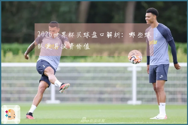2026世界杯买球盘口解析：哪些球队更具投资价值