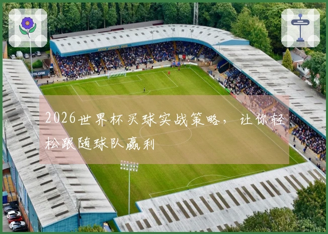 2026世界杯买球实战策略，让你轻松跟随球队赢利